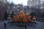 Christmas Tree in City Hall Park 