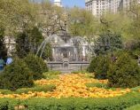 City Hall Park Fountain 