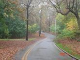 Park Drive East (Closed Road) 