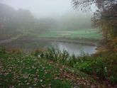 Foggy Day 