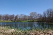 65170 04-21-03 Forest Pk.jpg 