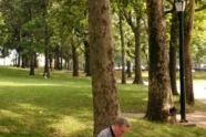 65338 08-12-03 Astoria Park man reading.jpg 