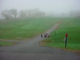 Foggy Lone Golf Clubs 
