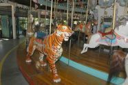 Forest Park Carousel 