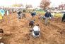 MillionTreesNYC planting in Kissena Corridor Park