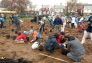 MillionTreesNYC planting in Kissena Corridor Park
