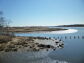 Salt Marsh looking out from the Nature Center