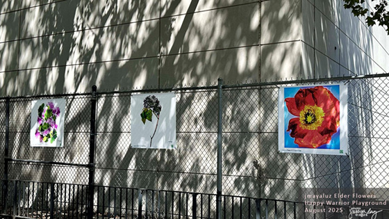 Courtesy of El Taller Latino Americano