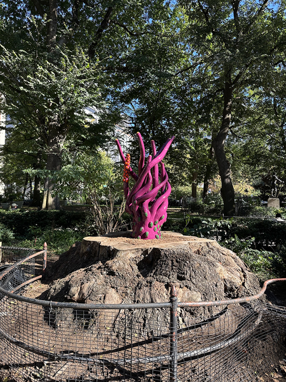 courtesy of the artist