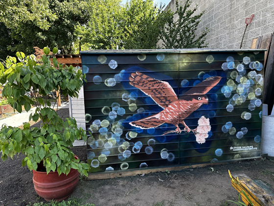 Photo courtesy of Jaclyn Soto and South Jamaica Infinity Garden