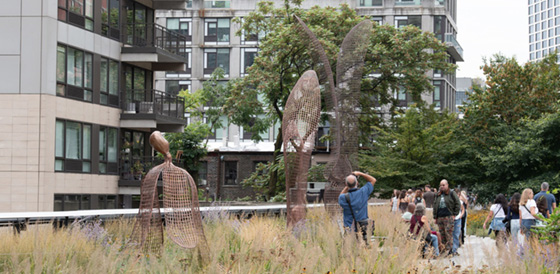 Photo by Timothy Schenck, courtesy of Friends of the High Line